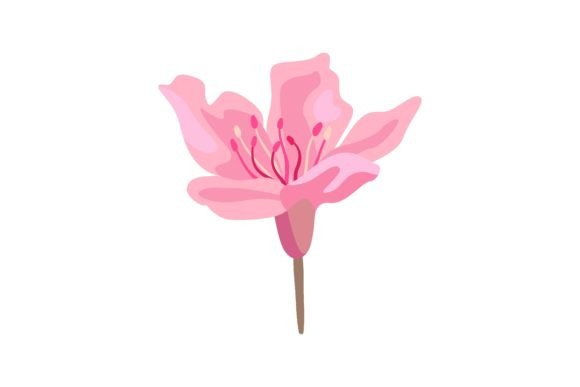 Capturing Spring's Ephemeral Beauty: Pink Flower Vector Illustrations