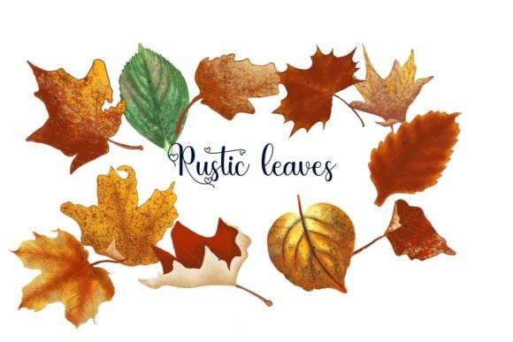 Embrace Natural Charm with Rustic Leaves Illustrations