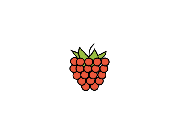 Fruit Raspberry Illustrations: Fresh Design for Every Project