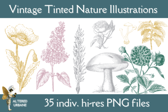 Vintage Tinted Nature Illustrations: Botanical Art for Modern Design